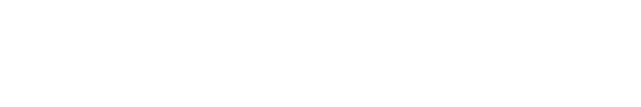 BOGNER